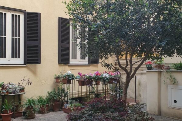 Cunfida interno B6